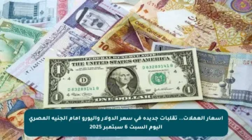 أسعار العملات.. تقلبات جديدة في سعر الدولار واليورو أمام الجنيه المصري اليوم السبت 6 سبتمبر 2025